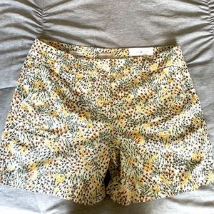 Loft shorts